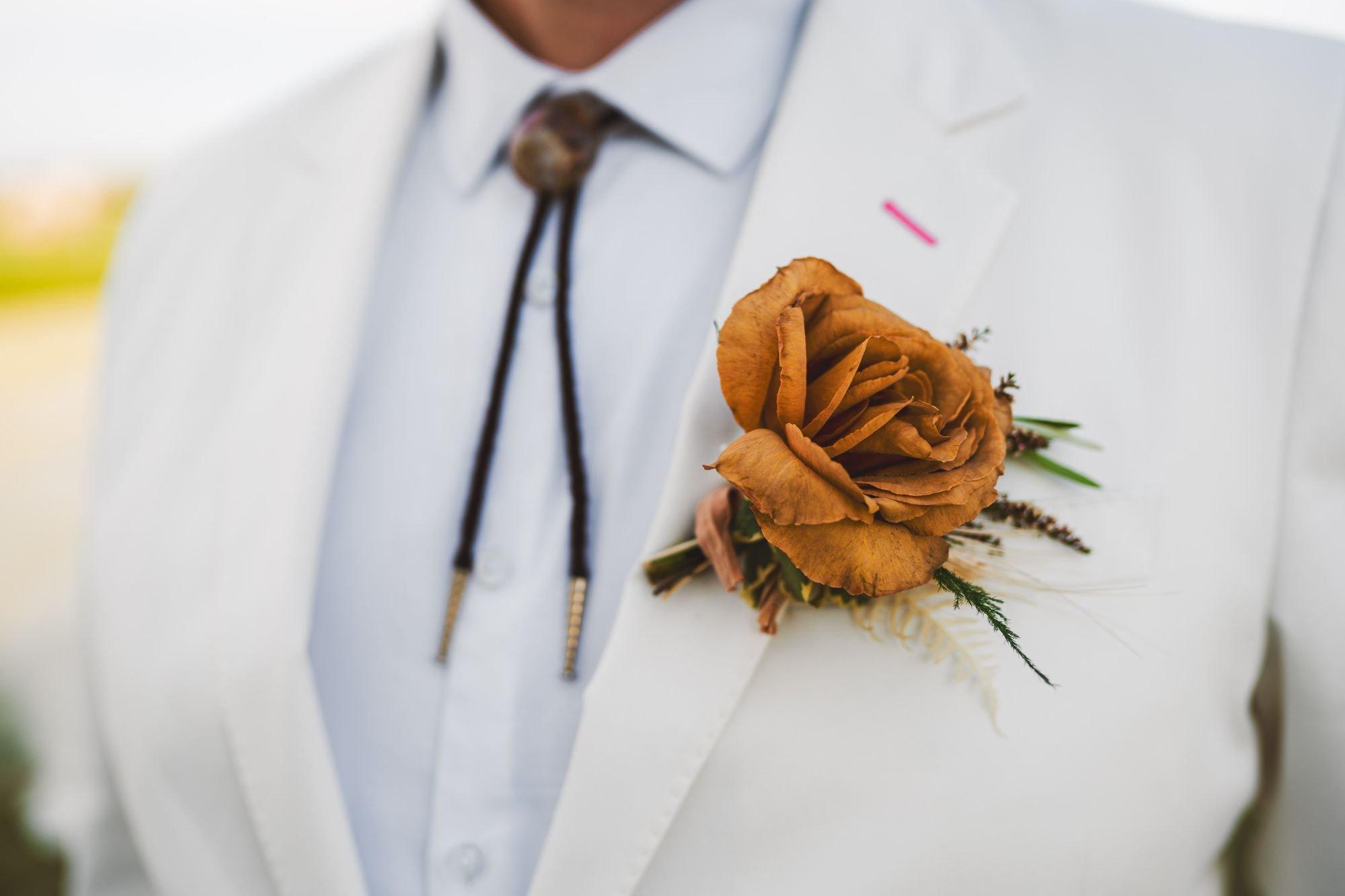 carousel-hero-element image-7