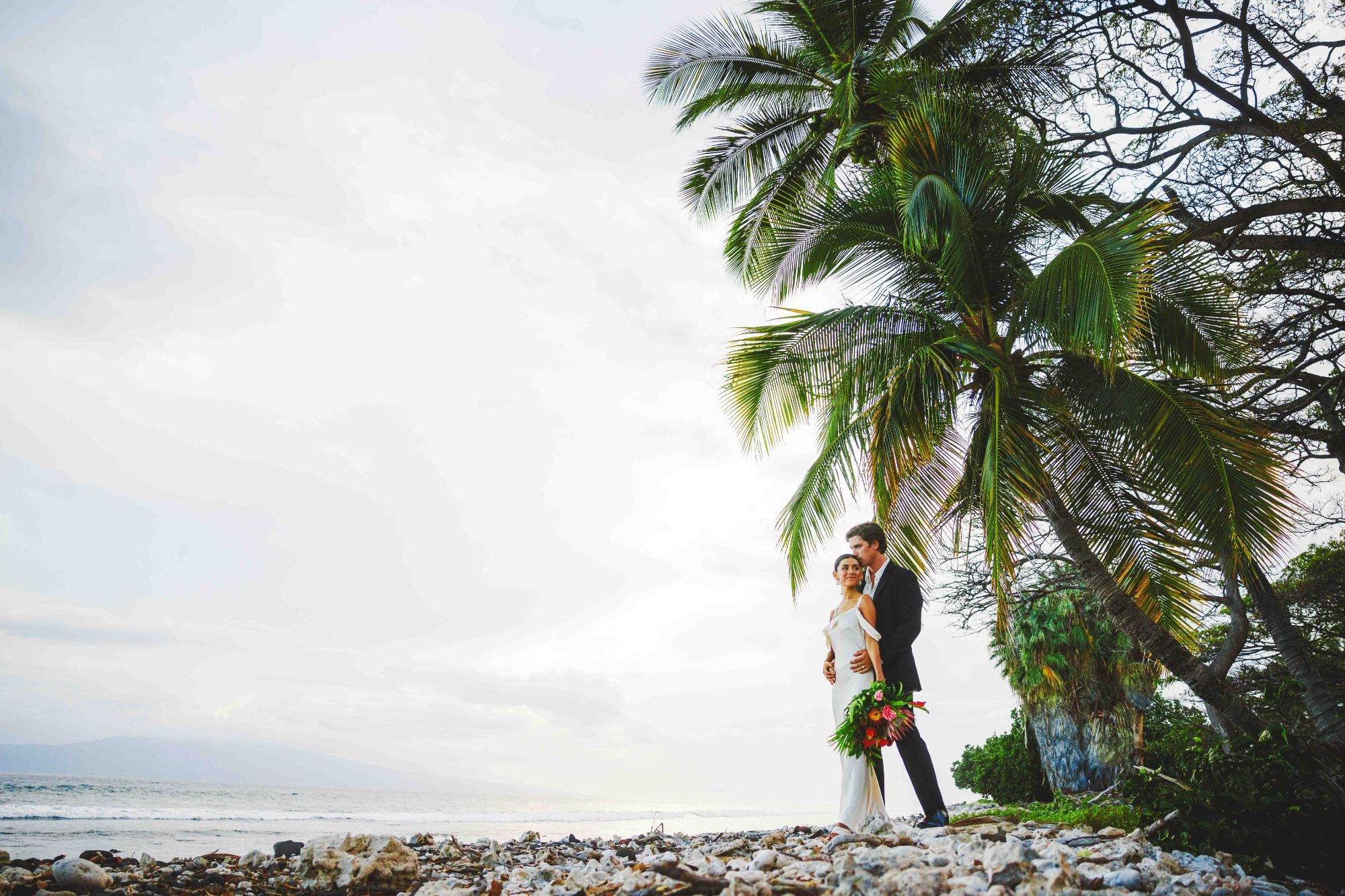 carousel-hero-element image-0