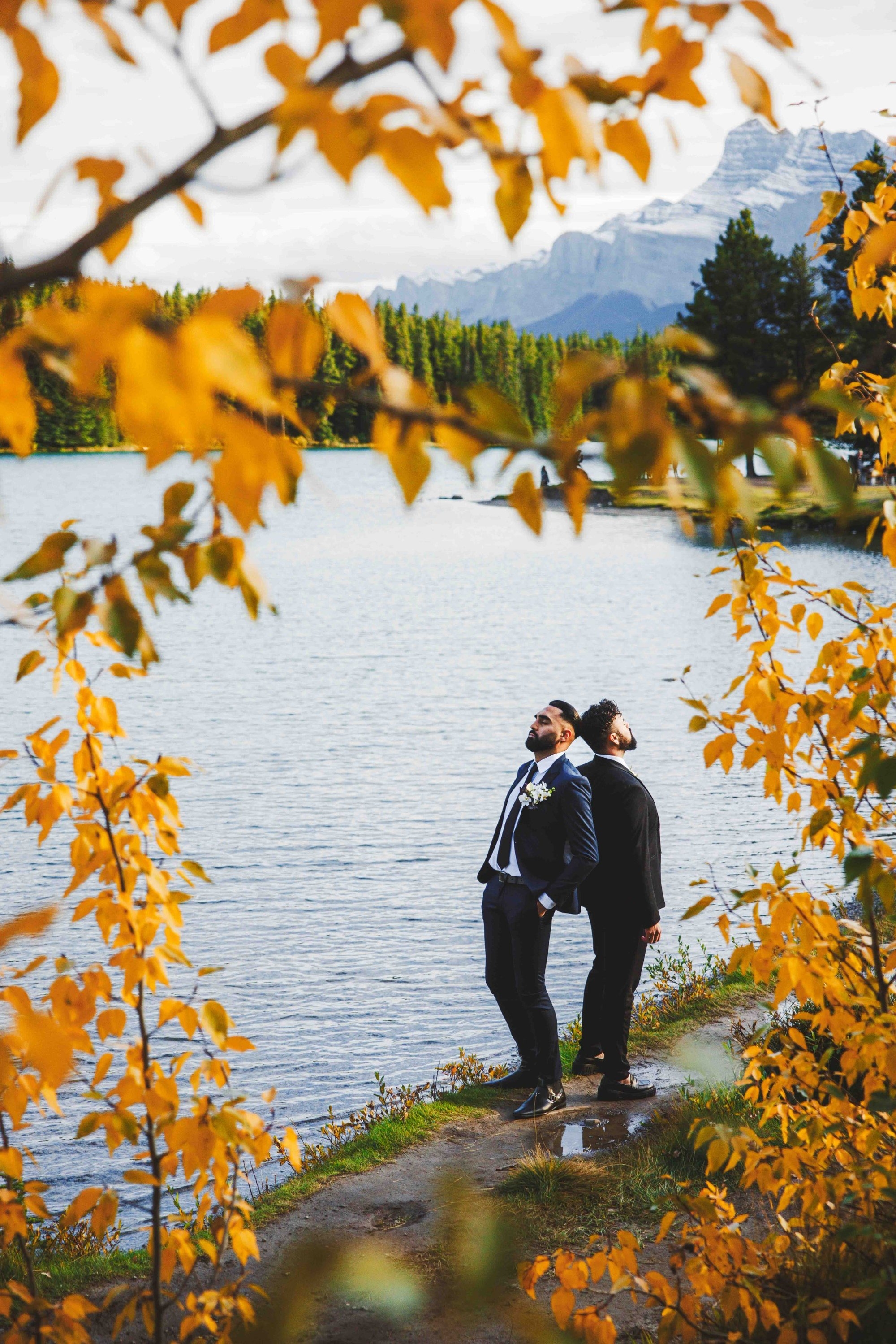 carousel-hero-element image-0